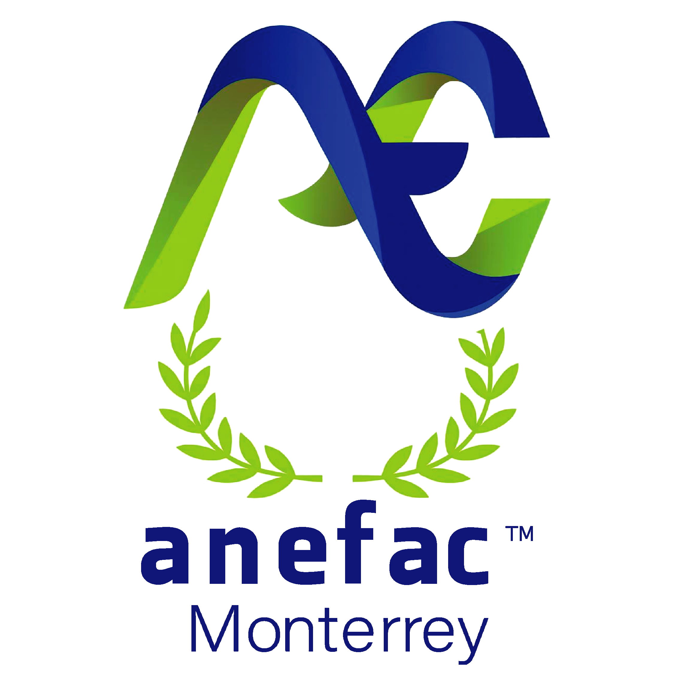 logo amcs